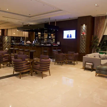 Hotel Miracle Airport &