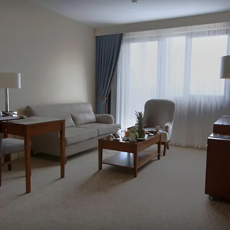 Miracle Airport & Stambuł