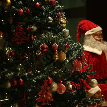 Hotel Miracle Airport & 5*