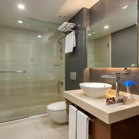 Miracle Airport & 5* Istanbul